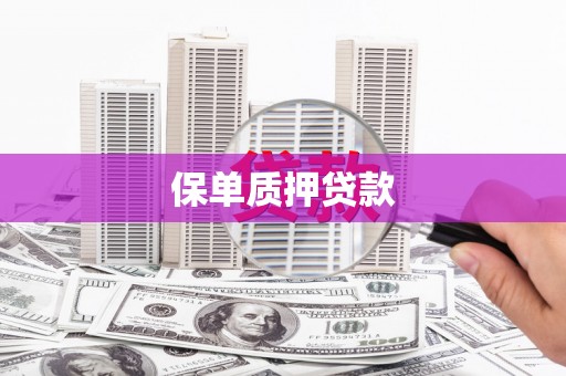 霍城保单质押贷款