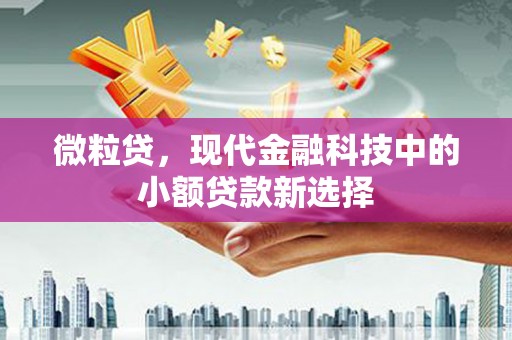 霍城微粒贷，现代金融科技中的小额贷款新选择