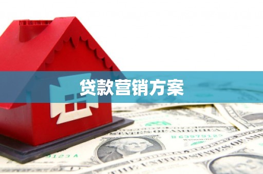 霍城贷款营销方案
