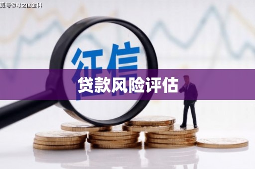 霍城贷款风险评估