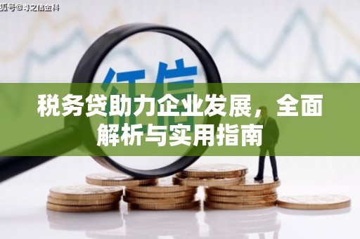 霍城税务贷助力企业发展，全面解析与实用指南
