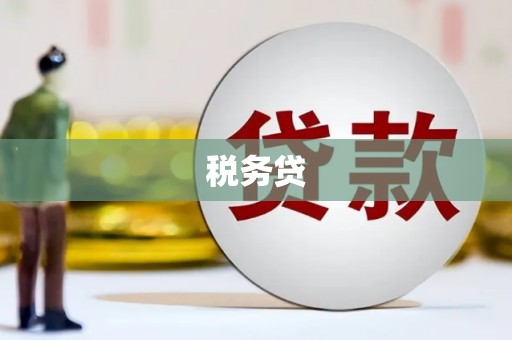 霍城税务贷