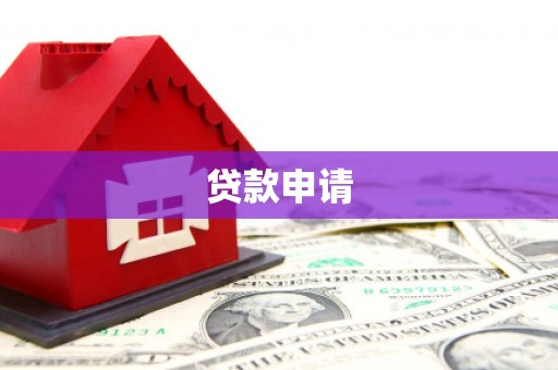 霍城贷款申请
