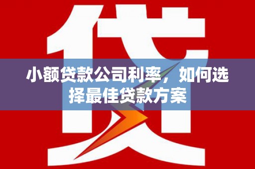 霍城小额贷款公司利率，如何选择最佳贷款方案