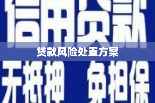 霍城贷款风险处置方案