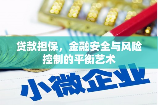 霍城贷款担保，金融安全与风险控制的平衡艺术