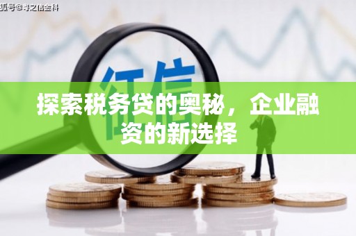 霍城探索税务贷的奥秘，企业融资的新选择
