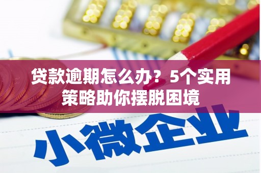 霍城贷款逾期怎么办？5个实用策略助你摆脱困境