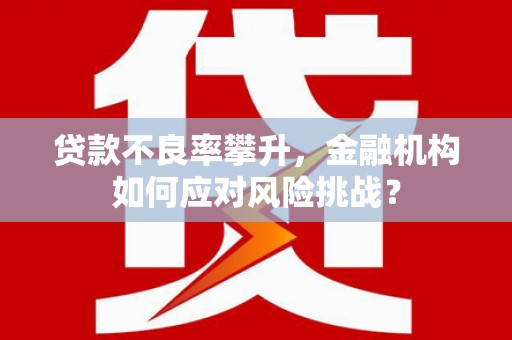 霍城贷款不良率攀升，金融机构如何应对风险挑战？