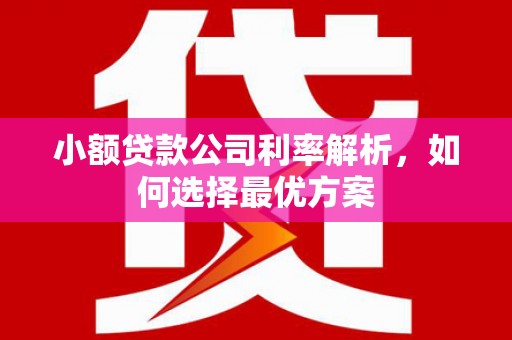 霍城小额贷款公司利率解析，如何选择最优方案