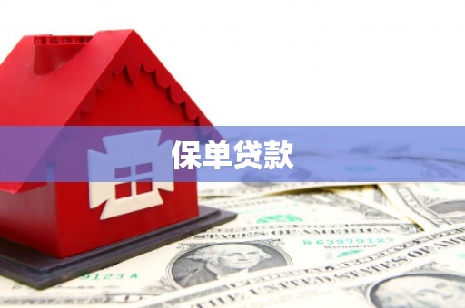 霍城保单贷款