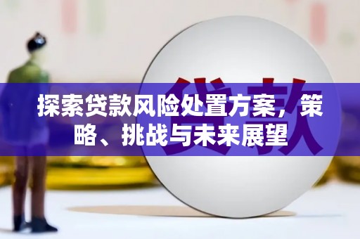 霍城探索贷款风险处置方案，策略、挑战与未来展望