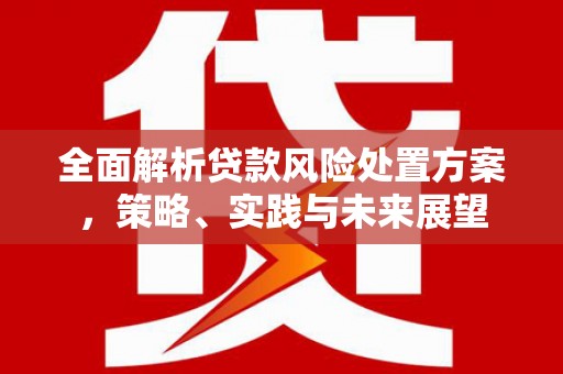 霍城全面解析贷款风险处置方案，策略、实践与未来展望