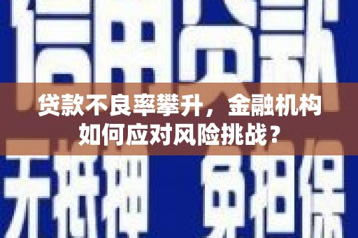 霍城贷款不良率攀升，金融机构如何应对风险挑战？