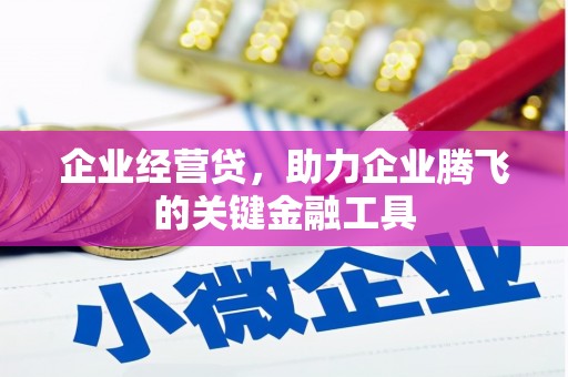 霍城企业经营贷，助力企业腾飞的关键金融工具