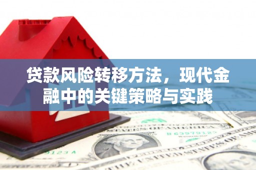 霍城贷款风险转移方法，现代金融中的关键策略与实践