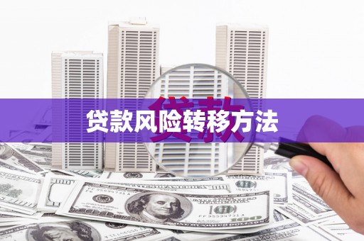 霍城贷款风险转移方法