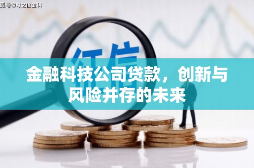 霍城金融科技公司贷款，创新与风险并存的未来