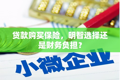 霍城贷款购买保险，明智选择还是财务负担？