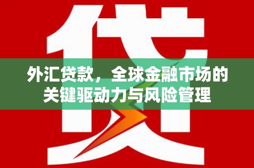 霍城外汇贷款，全球金融市场的关键驱动力与风险管理