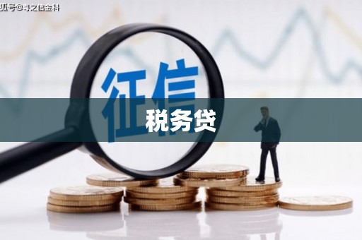 霍城税务贷