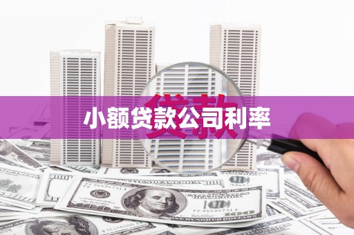 霍城小额贷款公司利率