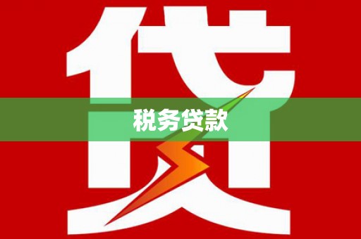 霍城税务贷款