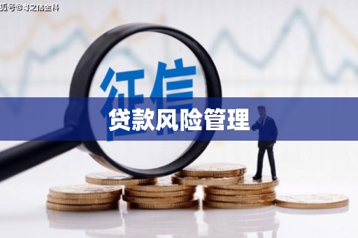 霍城贷款风险管理