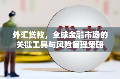 霍城外汇贷款，全球金融市场的关键工具与风险管理策略