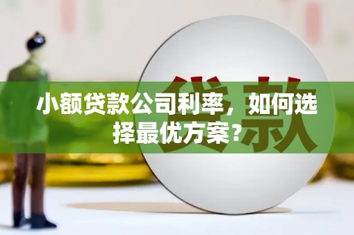 霍城小额贷款公司利率，如何选择最优方案？