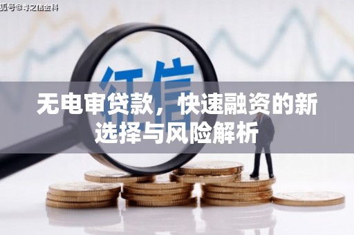 霍城无电审贷款，快速融资的新选择与风险解析