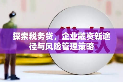 霍城探索税务贷，企业融资新途径与风险管理策略