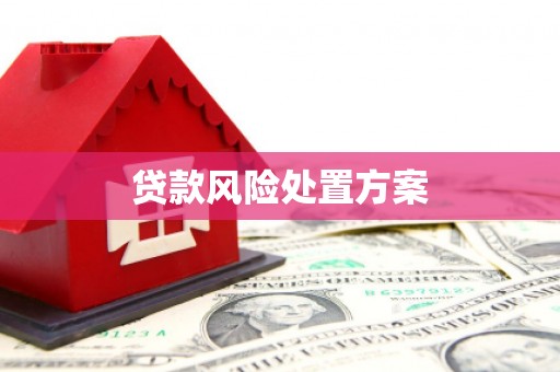 霍城贷款风险处置方案