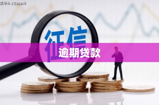 霍城逾期贷款
