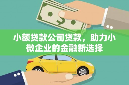 霍城小额贷款公司贷款，助力小微企业的金融新选择