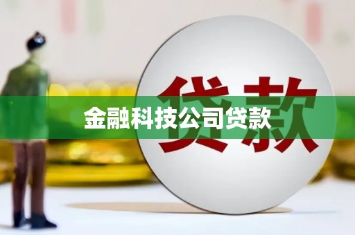 霍城金融科技公司贷款