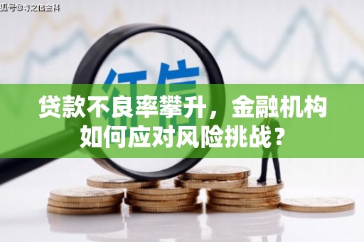 霍城贷款不良率攀升，金融机构如何应对风险挑战？