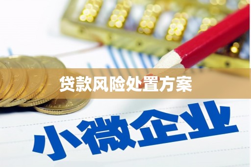 霍城贷款风险处置方案