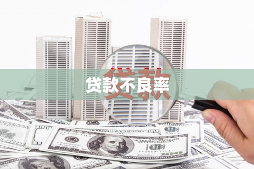 霍城贷款不良率