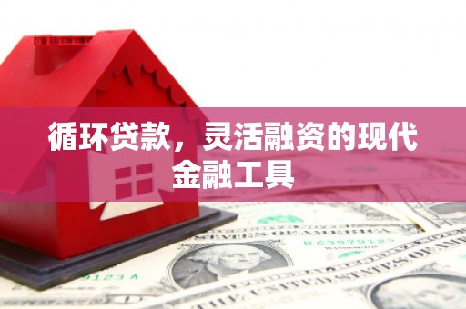 霍城循环贷款，灵活融资的现代金融工具