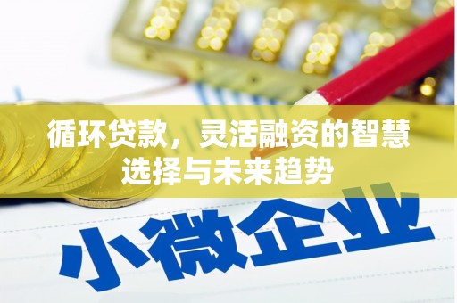 霍城循环贷款，灵活融资的智慧选择与未来趋势