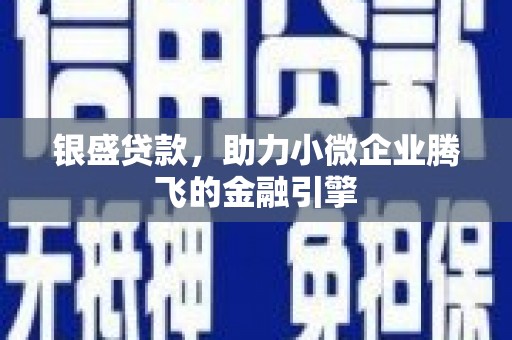 霍城银盛贷款，助力小微企业腾飞的金融引擎