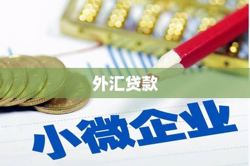 霍城外汇贷款