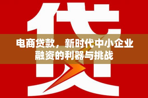 霍城电商贷款，新时代中小企业融资的利器与挑战