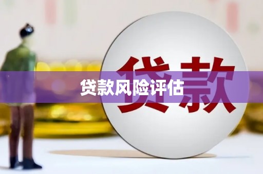 霍城贷款风险评估