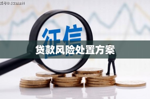 霍城贷款风险处置方案