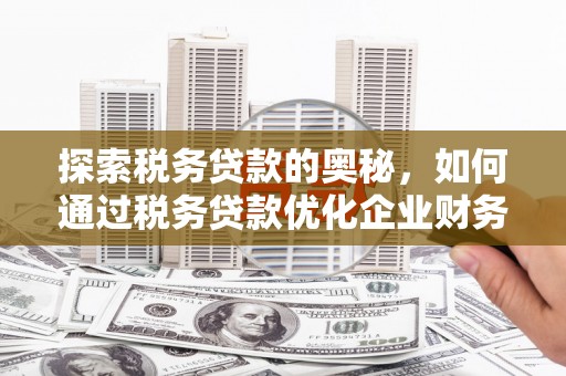 霍城探索税务贷款的奥秘，如何通过税务贷款优化企业财务