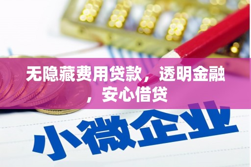 霍城无隐藏费用贷款，透明金融，安心借贷