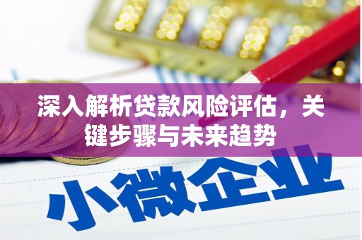 霍城深入解析贷款风险评估，关键步骤与未来趋势