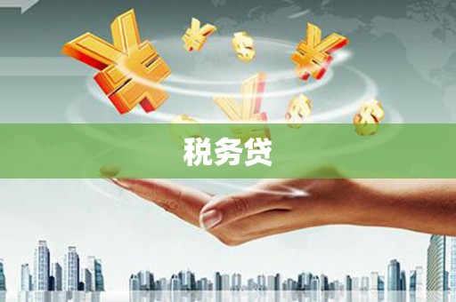 霍城税务贷